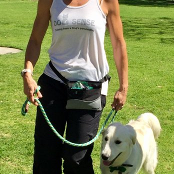 Dog Sense - Loose leash walking is so fun to teach to you and your dog. - Pet Training Near Me Dog Sense - Loose leash walking is so fun to teach to you and your dog. - Pet Training Near Me
