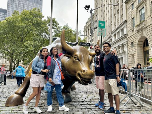 Charging Bull by null