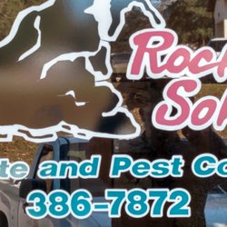 Rock Solid Termite & Pest Control