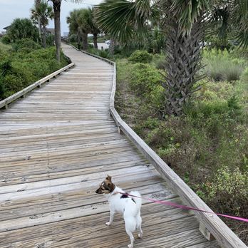 Myrtle Beach State Park - Boardwalk parallel to the beach. - Parks Near Me - Myrtle Beach, South Carolina Myrtle Beach State Park - Boardwalk parallel to the beach. - Parks Near Me - Myrtle Beach, South Carolina