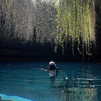 Devil's Den Prehistoric Spring - Scuba Diving Near Me - Williston, Florida Devil's Den Prehistoric Spring - Scuba Diving Near Me - Williston, Florida