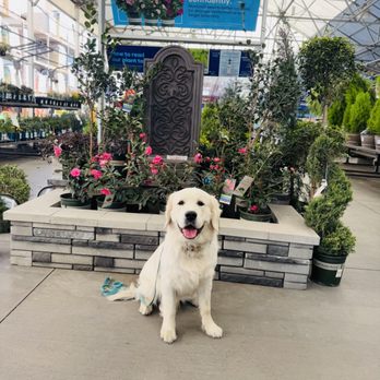 Beauty and Her Beasts Dog Training - Pet Training Near Me Beauty and Her Beasts Dog Training - Pet Training Near Me