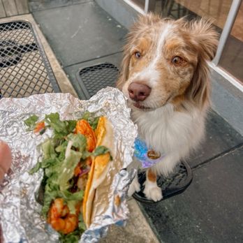 Mojo's Tacos - Mexican Near Me - Saint Augustine, Florida