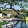 Scarlet Oak Landscaping