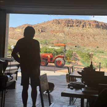 Zion Vineyards - Wine maker showing us the beautiful vineyard view - Wine Tasting Room Near Me - Leeds, Utah Zion Vineyards - Wine maker showing us the beautiful vineyard view - Wine Tasting Room Near Me - Leeds, Utah