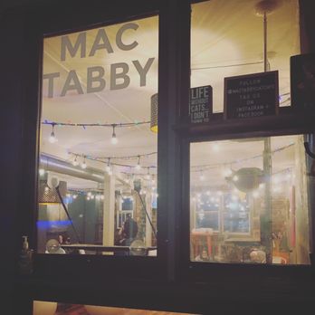 Mac Tabby Cat Cafe - Themed Cafes Near Me - Charlotte, North Carolina