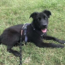Our harness we bought our boy for all of our adventures! Our harness we bought our boy for all of our adventures!
