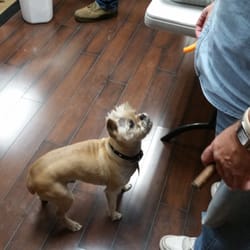 Smoker's Zone - Max demanding his doggy treat