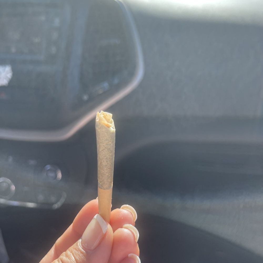 Mission Dispensary South Chicago - A half filled raw cone - Cannabis Clinics Near Me - Chicago, Illinois Mission Dispensary South Chicago - A half filled raw cone - Cannabis Clinics Near Me - Chicago, Illinois