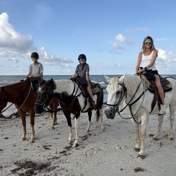 Two-bit Stable Horseback Riding On The Beach - Horseback Riding Near Me - Cape San Blas, Florida Two-bit Stable Horseback Riding On The Beach - Horseback Riding Near Me - Cape San Blas, Florida