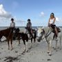 Photo of Two-bit Stable Horseback Riding On The Beach