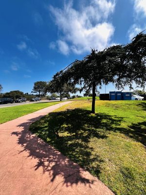 Kate Sessions Memorial Park by null