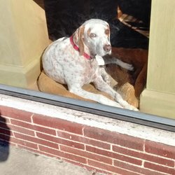 Mar-Chet Jewelers - Hi!