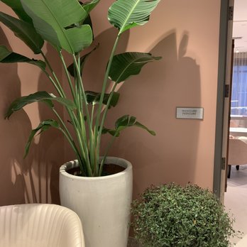 Anda Spa - Entrance to the Salon for mani/pedi - Day Spas Near Me - Minneapolis, Minnesota