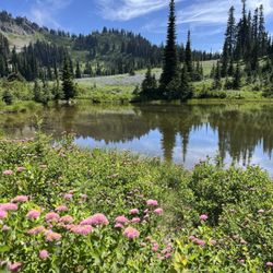 Tipsoo Lake