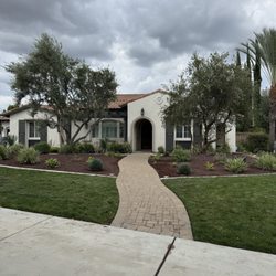 Anthony's Tree Service - Final product. Two symmetrical Olive Trees planted in Chino, CA