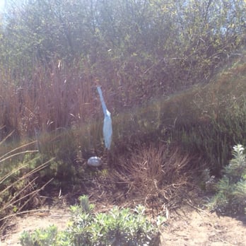 Batiquitos Lagoon Foundation - Community Service/Non-Profit Near Me - Carlsbad, California