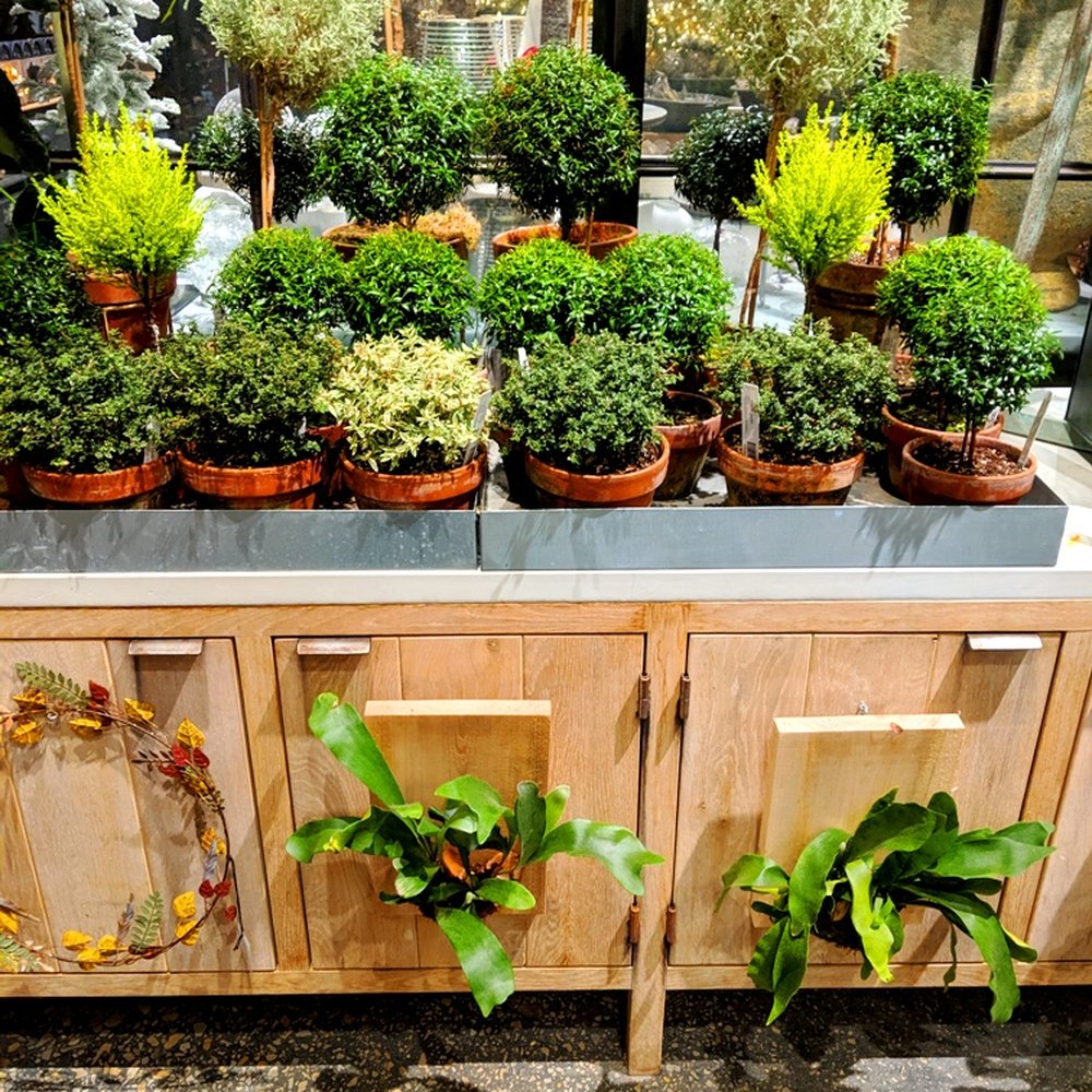 Terrain - Terrain -- topiaries on top, staghorns vertical - Nurseries & Gardening Near Me - Devon, Pennsylvania
