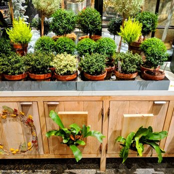 Terrain - Terrain -- topiaries on top, staghorns vertical - Nurseries & Gardening Near Me - Devon, Pennsylvania