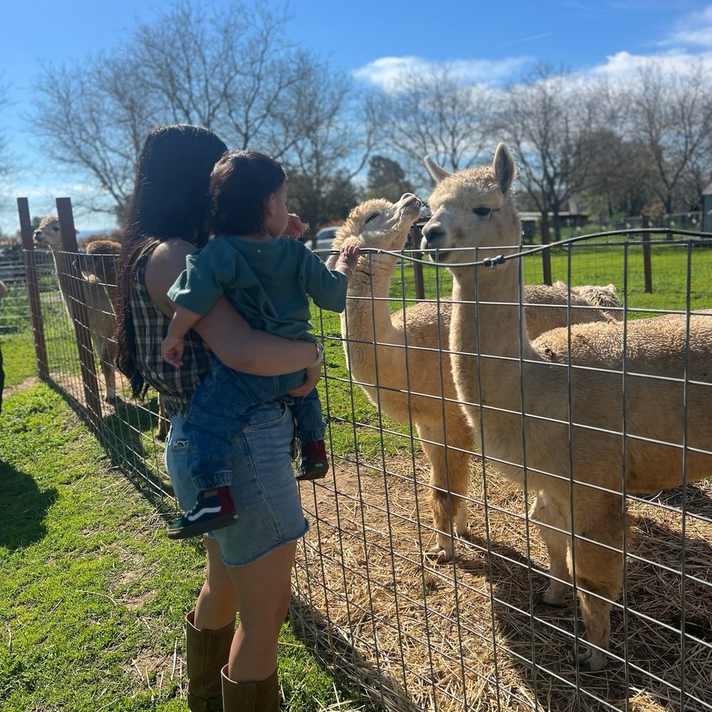Back-to-Eden Ranch - Attraction Farms Near Me - Gilroy, California Back-to-Eden Ranch - Attraction Farms Near Me - Gilroy, California