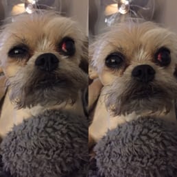 Just a small look at what happened at this groomers Just a small look at what happened at this groomers