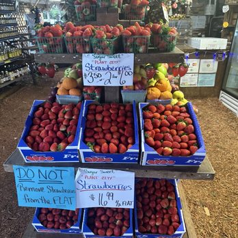 Walker's Produce - Fruits & Veggies Near Me - Bartow, Florida Walker's Produce - Fruits & Veggies Near Me - Bartow, Florida