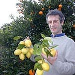 Satoriz