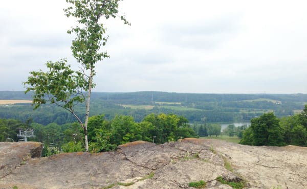 Kelso Conservation Area by null