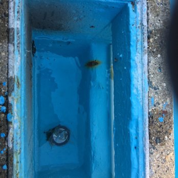 Cove Pools - Swimming Pools Near Me - Grand Rapids, Michigan