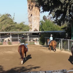 Rocking T Ranch
