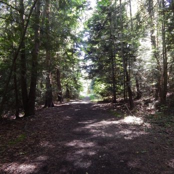 Limekiln Preserve - Starting out on the Quarry Trail. - Hiking Near Me - Friday Harbor, Washington