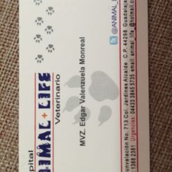 Animal Life - La tarjeta