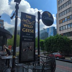 The Wild Geese - The sign that draws you in...