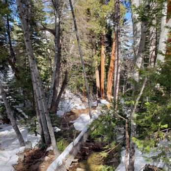 Cooper Canyon Falls - Hiking Near Me - La Canada Flintridge, California