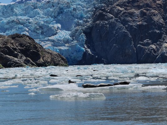 PYBUS POINT LODGE - Updated February 2026 - 108 Photos - Juneau, Alaska ...