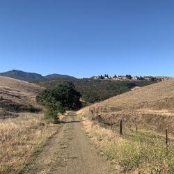 Black Diamond Trail - Trail