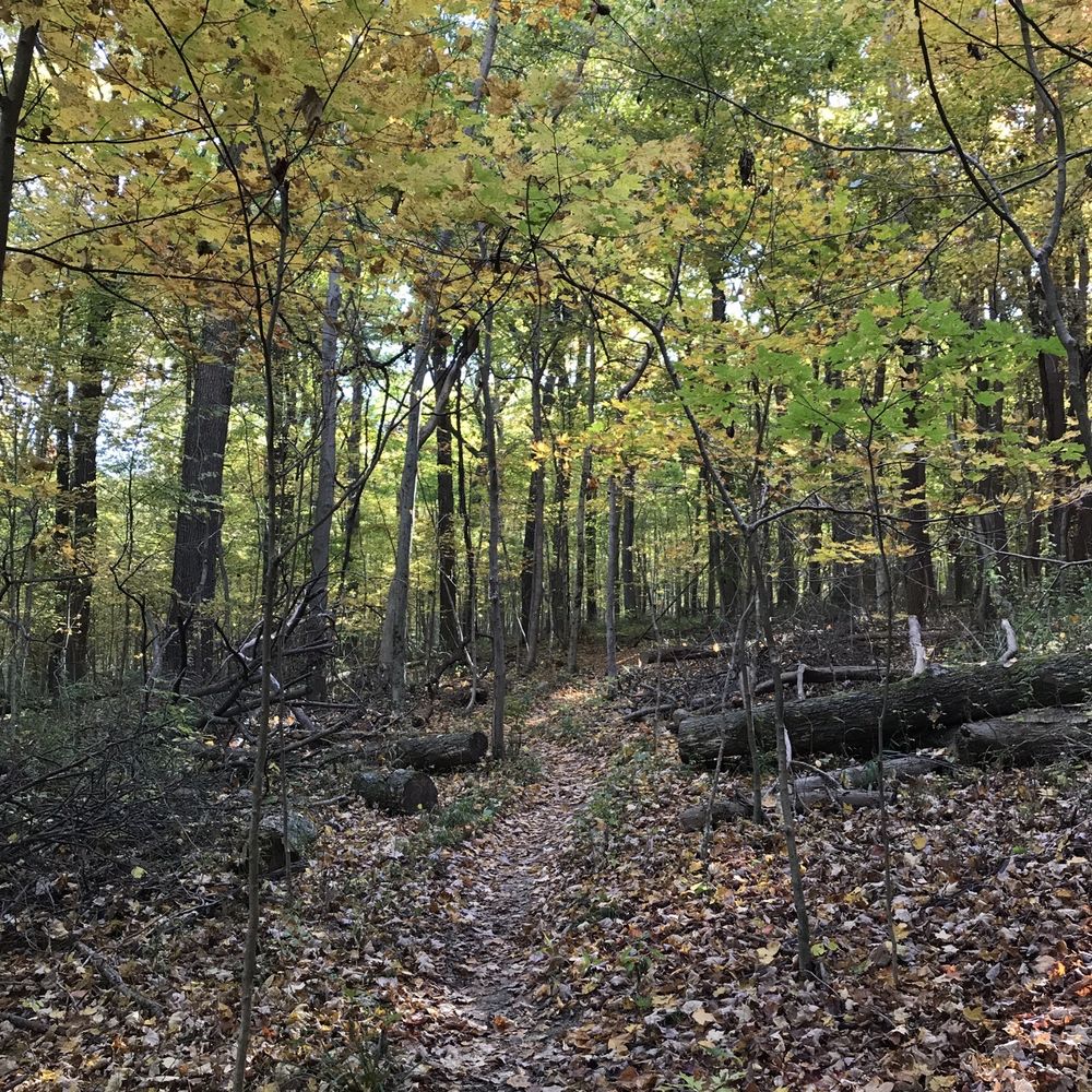 Mohican State Park - Hiking Near Me - Loudonville, Ohio