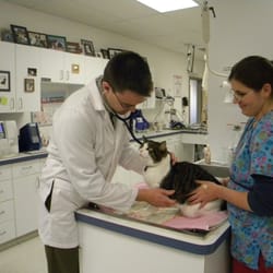 Carver Lake Veterinary Center - Dr. Chris Ed examines one of his feline friends.
