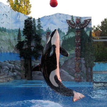 Six Flags Discovery Kingdom - Amusement Parks Near Me - Vallejo, California
