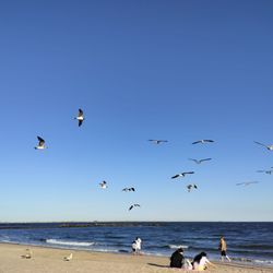 Coney Island Beach & Boardwalk