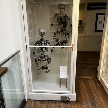 Surgeons' Hall Museums - Museums Near Me - Edinburgh, EDH
