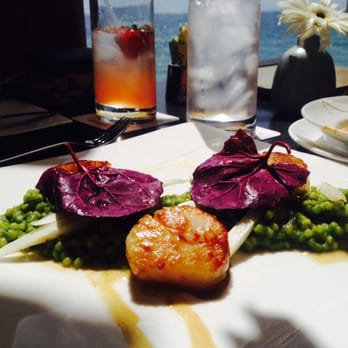 Splashes Restaurant - Scallops - New American Near Me - Laguna Beach, California