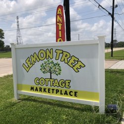 Lemon Tree Cottage