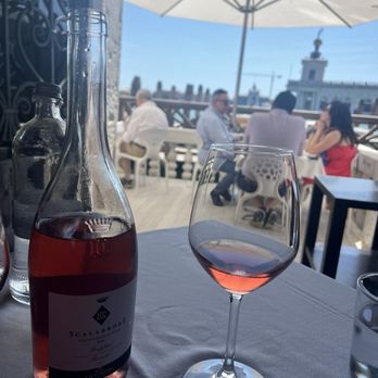 L'ombra del Leone - Great rose - Italian Near Me - Venezia, VE L'ombra del Leone - Great rose - Italian Near Me - Venezia, VE