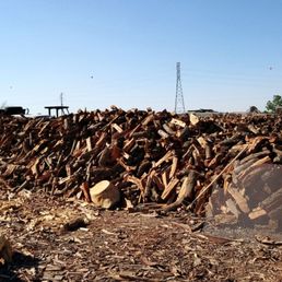Pine, Almond and Oak wood. Pine, Almond and Oak wood.