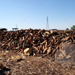Celia's Firewood - Pine, Almond and Oak wood.