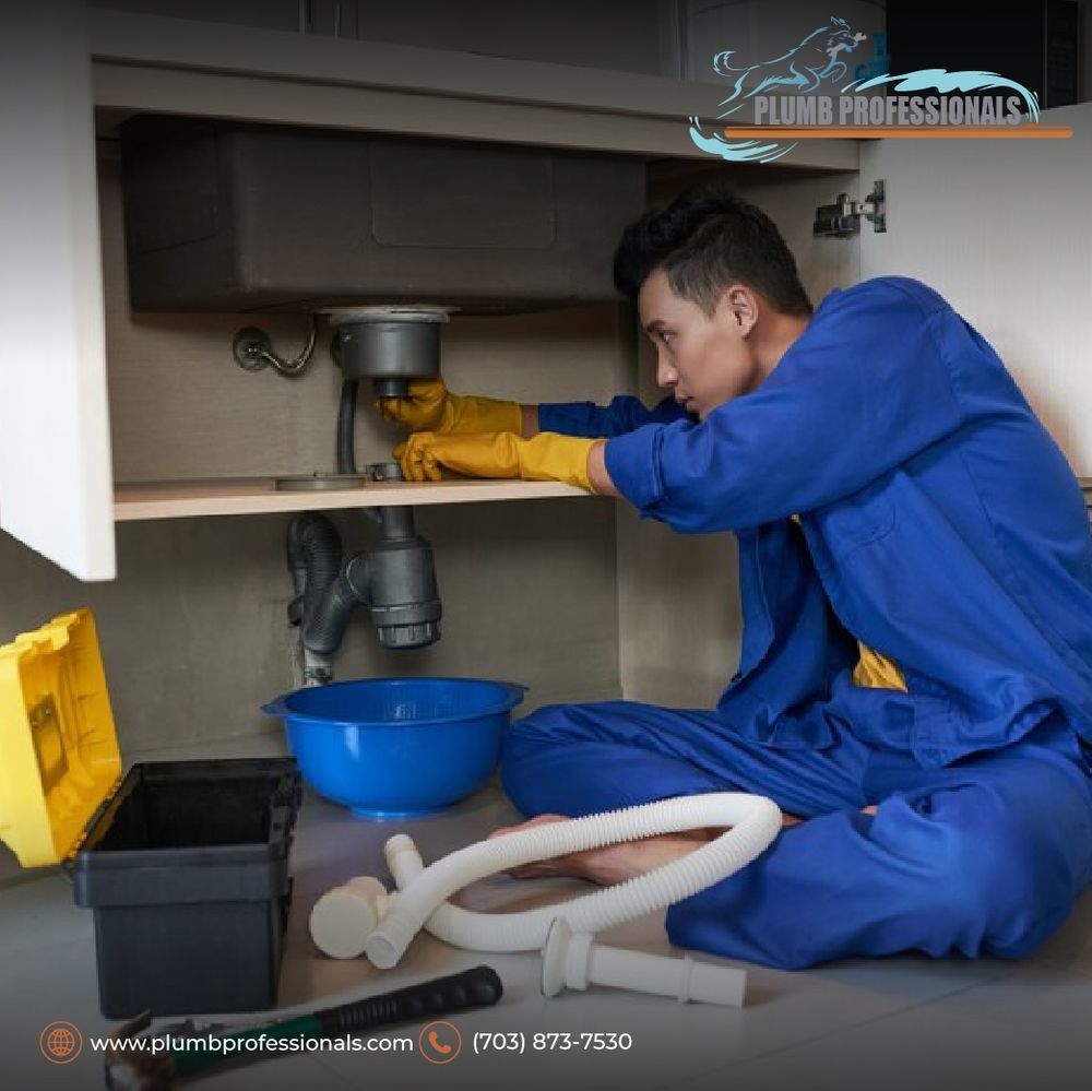 Slide of Plumb Professionals