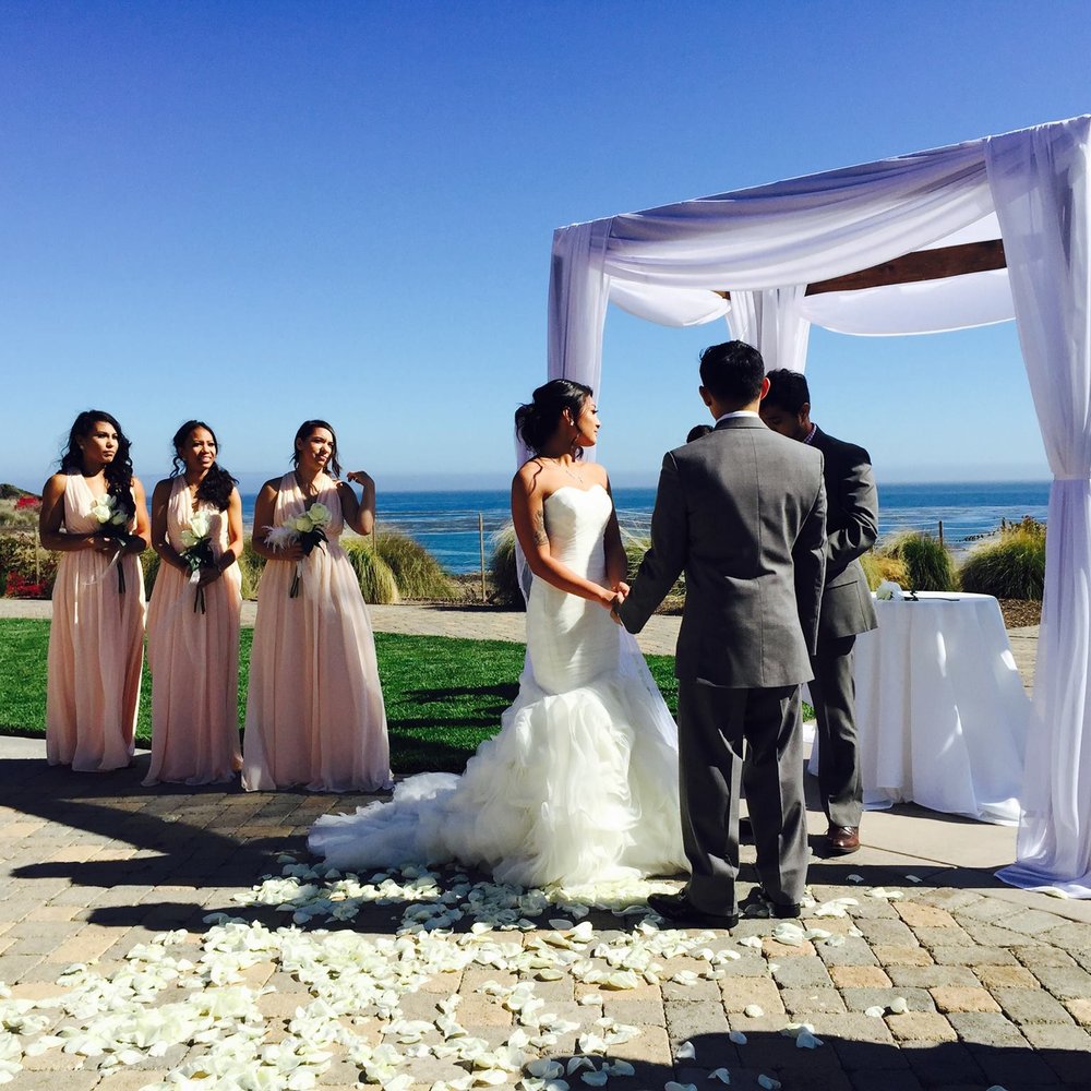 Dark brown wood chuppah with white drapes Dark brown wood chuppah with white drapes