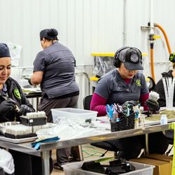 Pecos Valley Production
