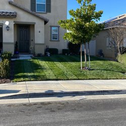 Truly Green Lawn Care Services - Front yard